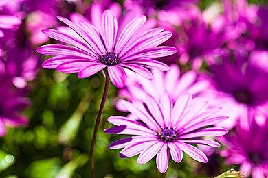 索尼：2023财年收购预算将增加20%