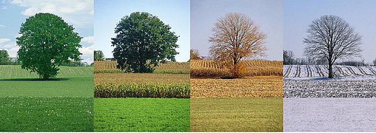 反乌托邦题材动作射击游戏《盲火》现已在Steam平台推出抢先体验版